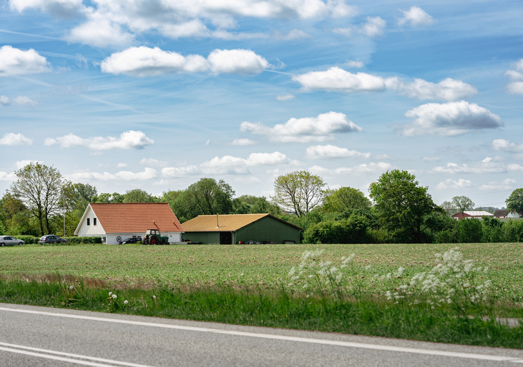 DE Sønderborg (3) (1)